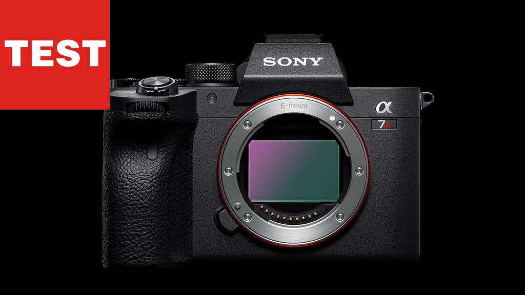Sony Alpha 7R IV: Test profesjonalnej kamery systemowej